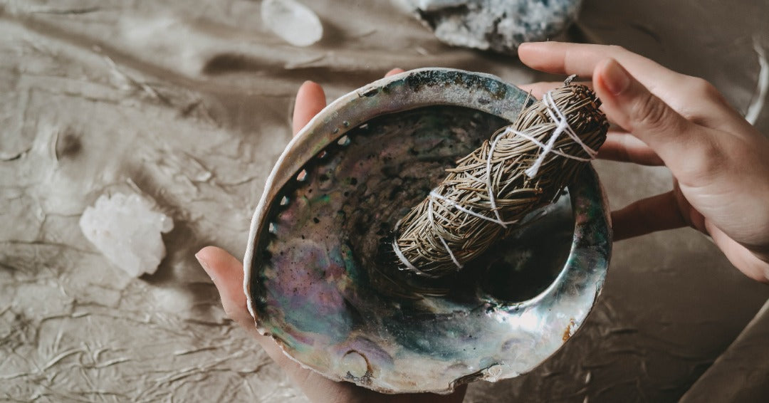 Abalone Shell