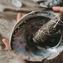 Abalone Shell